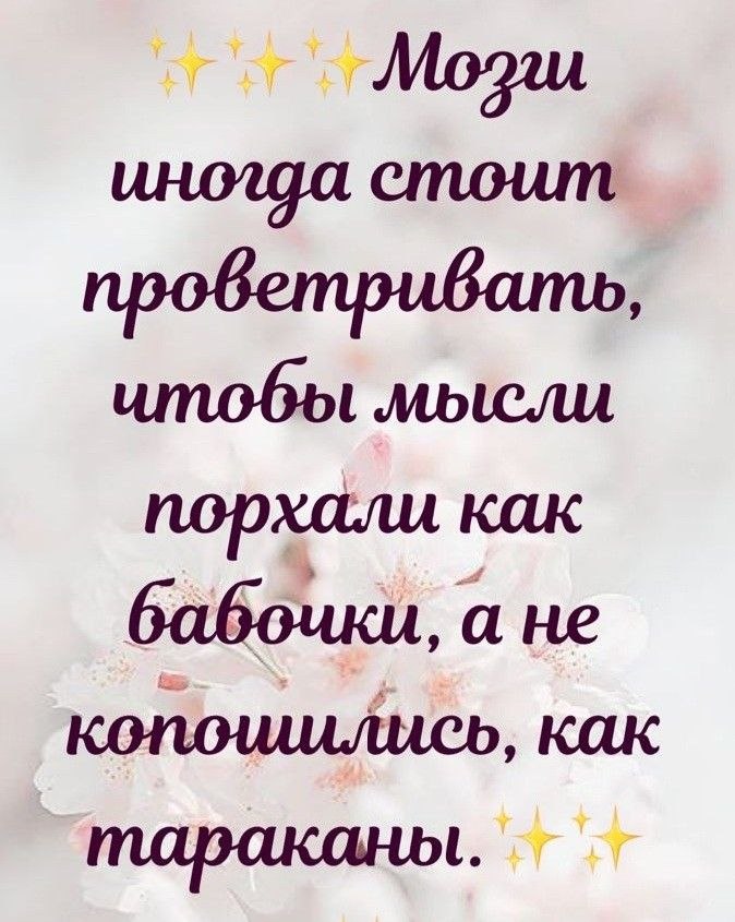  - 12  2022  11:14