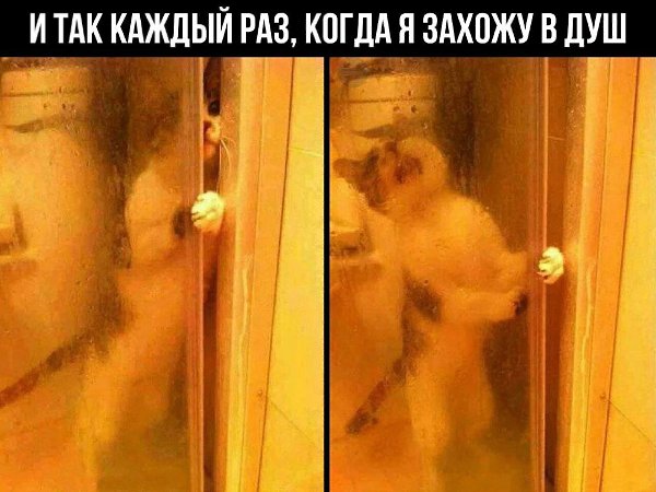    - 8  2023  04:18