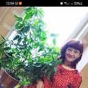 ���� �����, ������� ������, 50 ��� - ��������� 9 ������� 2022 � ������ ���� ����������