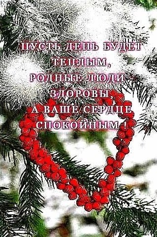   ,    . - 5  2023  12:23