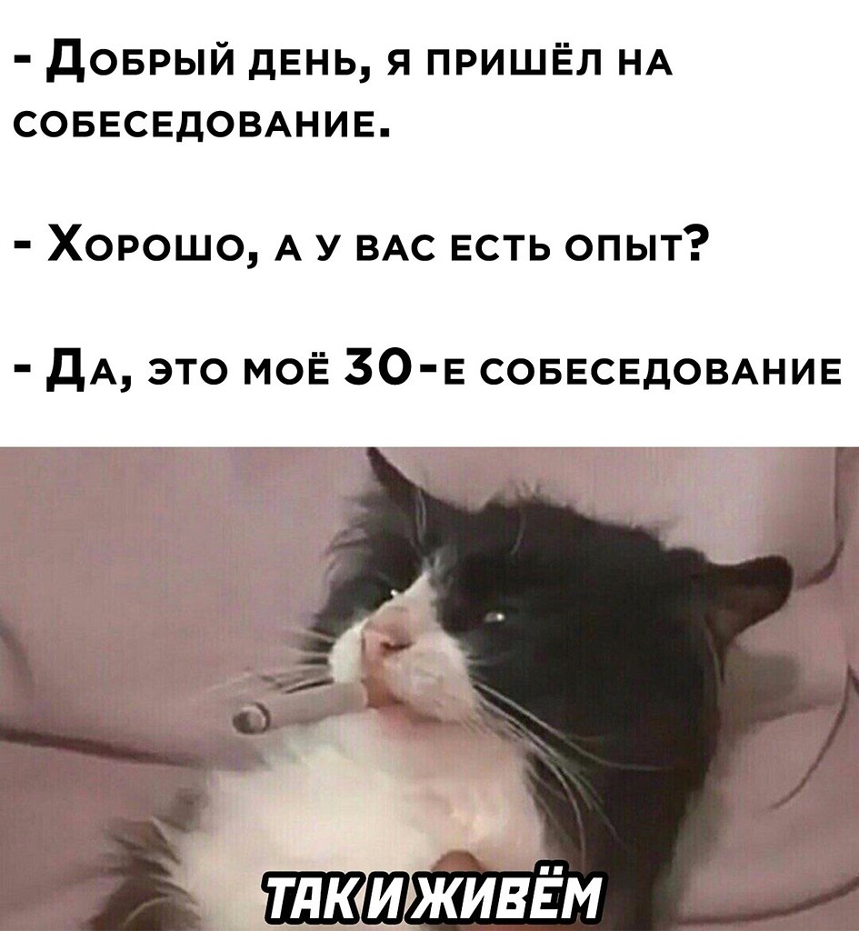 ☆ ☆ - 31  2022  11:06
