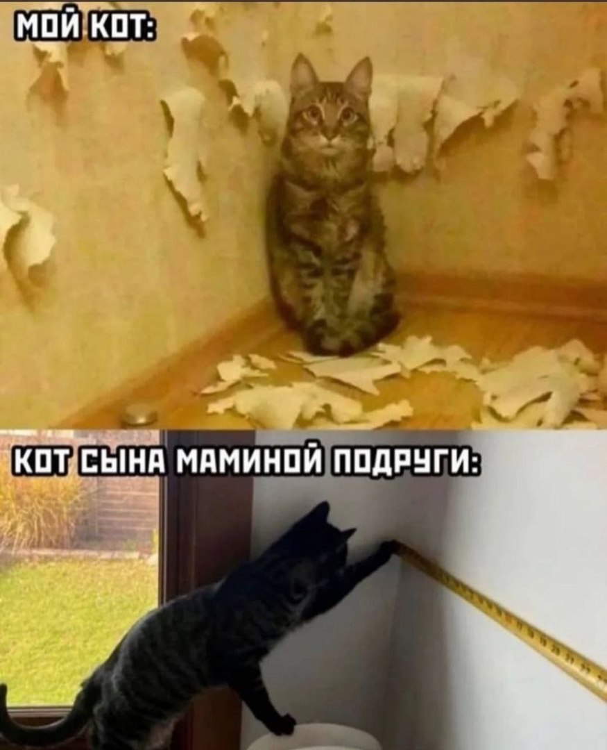  - 3  2022  17:54