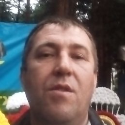 , , 51 
