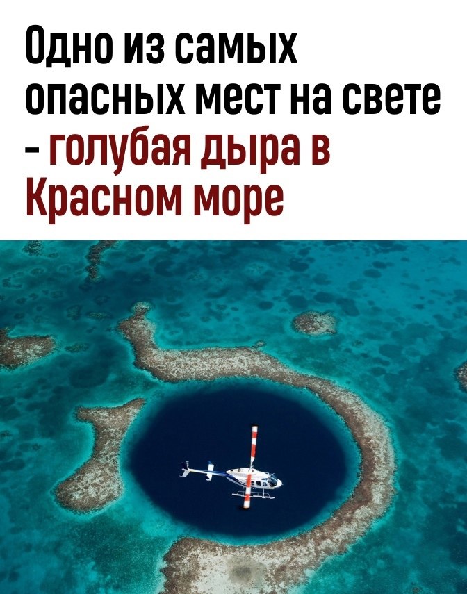  ,    ,     