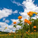 ���� �����, �����, 47 ��� - ��������� 25 ������ 2023 � ������ ���� ����������