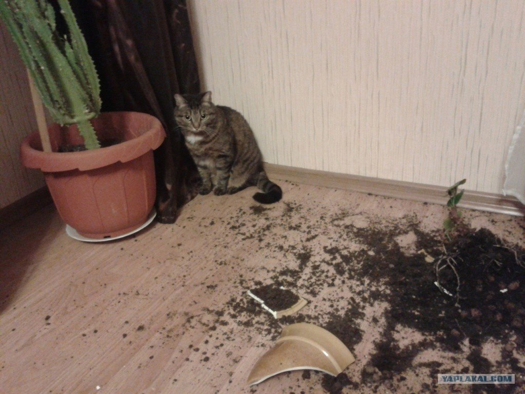     :      .  :    - , ... - 2