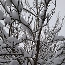  Elena  !,  -  12  2022    