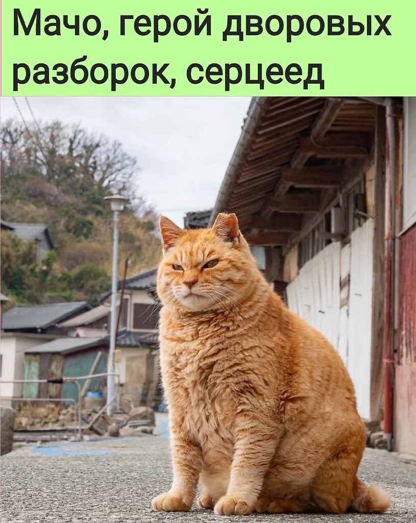   :D - 26  2022  09:13