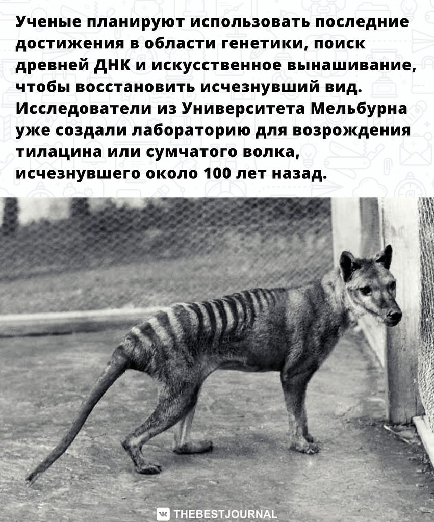     1936    - 2