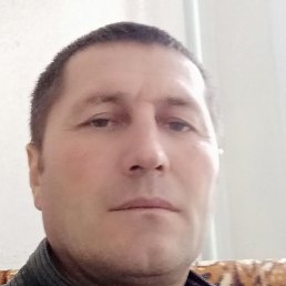 , , 51 