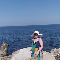 ���� ����, �����-���������, 62 ���� - ��������� 4 ������ 2023