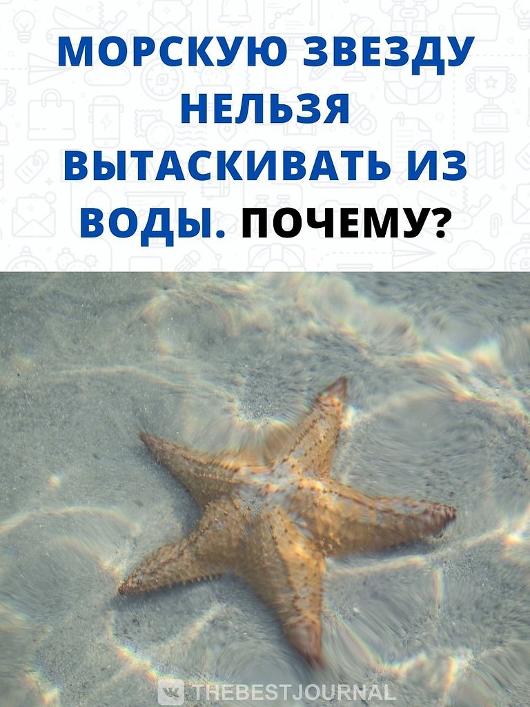 ������, ����� ������� ��� ������ ���� ������� ������, ������ - ������ ����� ��� ������ ����� �����.