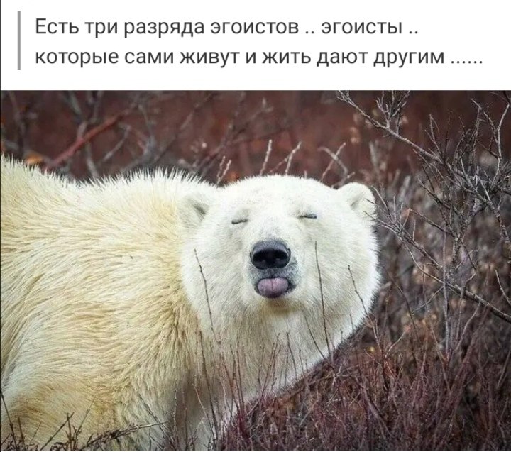 ***Victoria Viktorovna*** - 18  2022  08:33