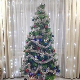 ���������, �����, 48 ���