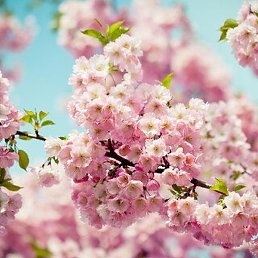 ������, �����, 65 ���