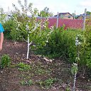 ���� �������, �����������, 61 ��� - ��������� 26 ��� 2022 � ������ ���� ����������