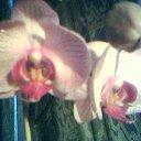 ���� ������, ������, 60 ��� - ��������� 10 ������� 2023 � ������ ���� ����������