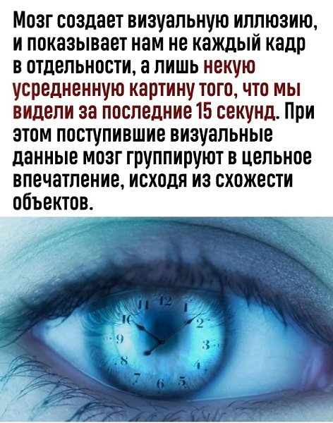 Мозг - это машина времени - 2