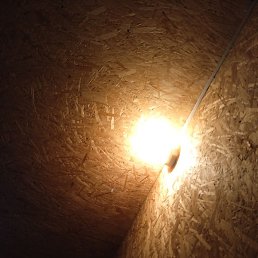 Karol, ���������, 26 ���