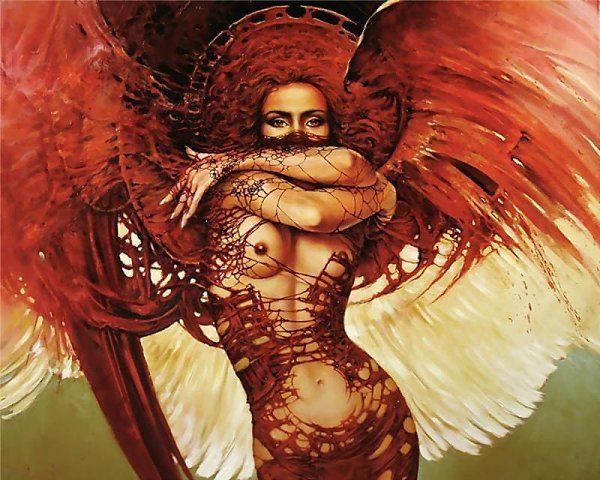  Karol Bak    .   (Karol Bak)   1961 ... - 5