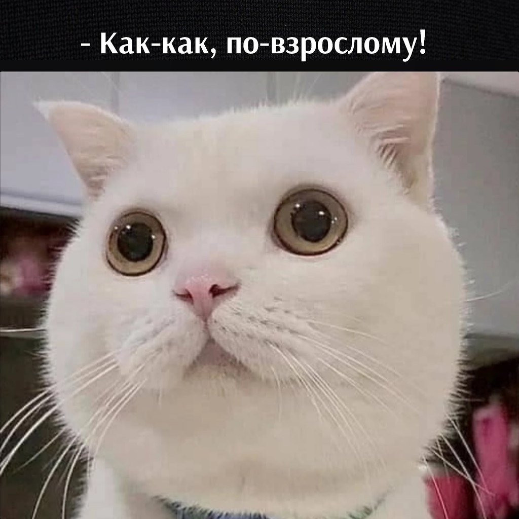       - 21  2022  16:03 - 2