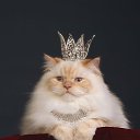 ���� �����, ������� - ��������� 7 ������� 2022 � ������ ���� ����������