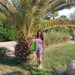 ����, �����-���������, 40 ���