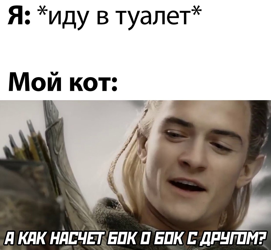 ☆ ☆ - 24  2022  12:14