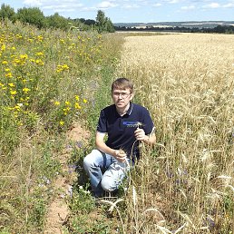 ������, �������, 37 ���