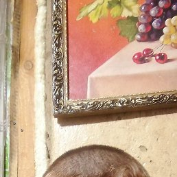 �������, ������, 42 ����