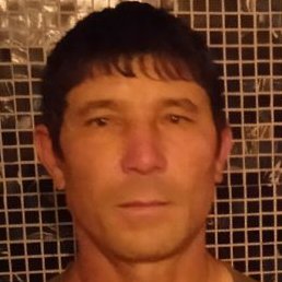 �����, �����, 43 ����