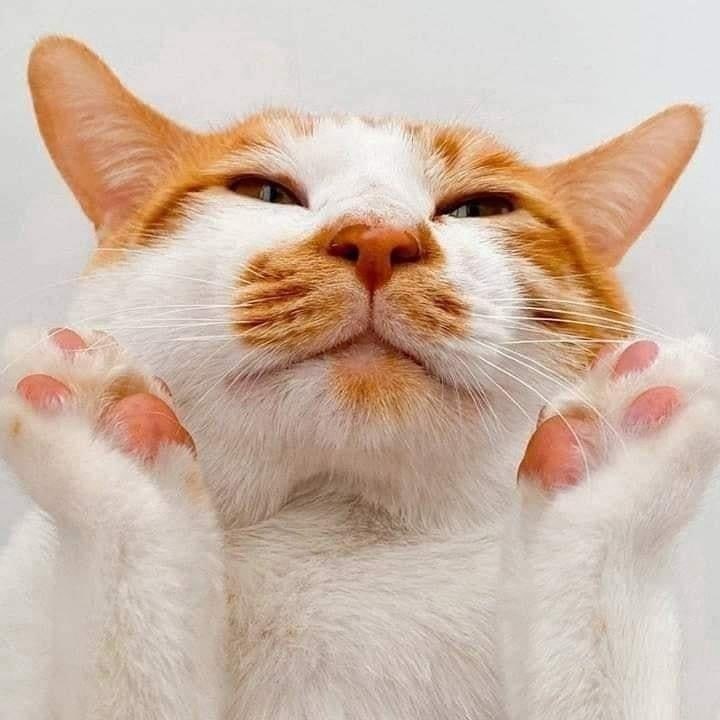       - 13  2022  19:24 - 3