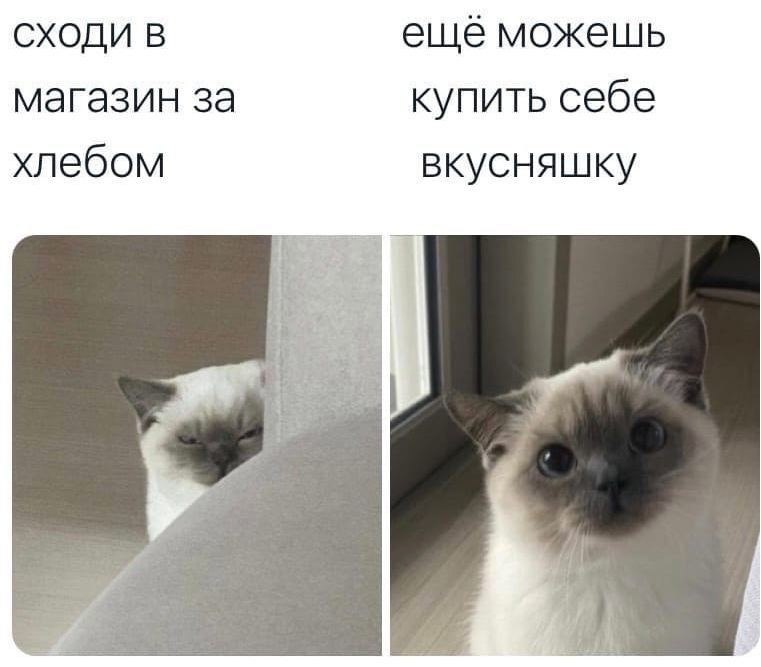    - 2  2023  13:33