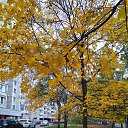  , , 63  -  10  2022    