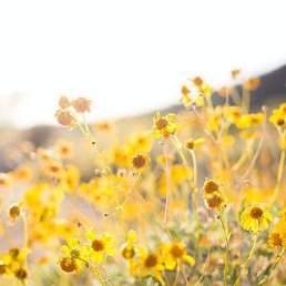 ���� �������, ������, 44 ���� - ��������� 22 ������ 2022