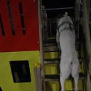 ���� Gleb, ��������� - ��������� 16 ������� 2022 � ������ ���� ����������