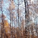 ���� ��������, ������, 48 ��� - ��������� 3 ������ 2023 � ������ ���� ����������