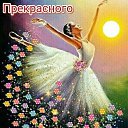 ���� Afrodita, ��������� - ��������� 28 ������� 2022 � ������ ���� ����������