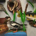 ������� �� ������� ���� ������