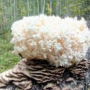 ���� Slavnii, ������������ - ��������� 8 ������� 2022
