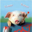 ���� Dreamjay, �����, 41 ��� - ��������� 11 ������� 2022 � ������ ������ ��������