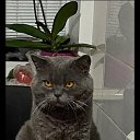 ���� ��������, ������, 56 ��� - ��������� 31 ������� 2022