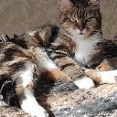  ,  , 51  -  20  2023    