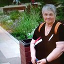 ���� ����, ������, 73 ���� - ��������� 22 ������ 2022