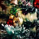 ���� ���������, �������, 64 ���� - ��������� 21 ������ 2022 � ������ ���� ����������