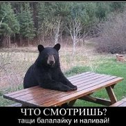 �����, 46 ���, ����