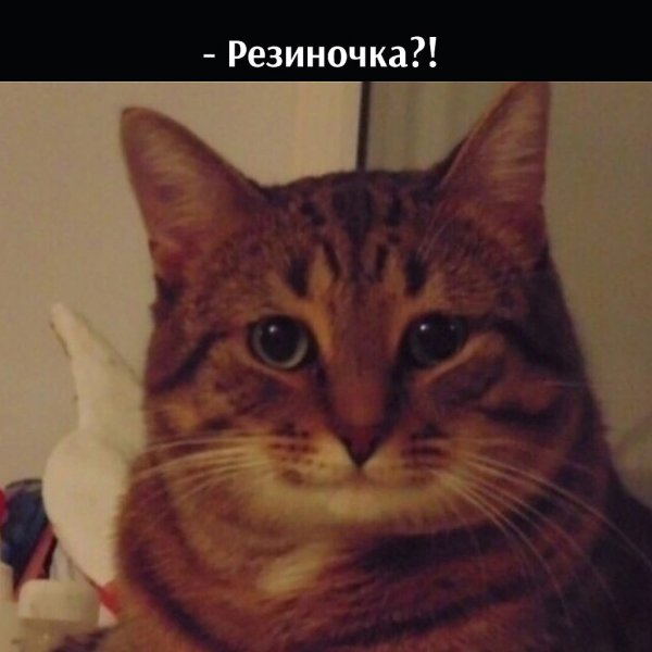 ��� ���� � ����� �� �� - 21 ������� 2022 � 13:33 - 3