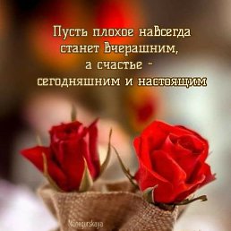 ���� �������, �����-���������, 54 ���� - ��������� 2 ������� 2023