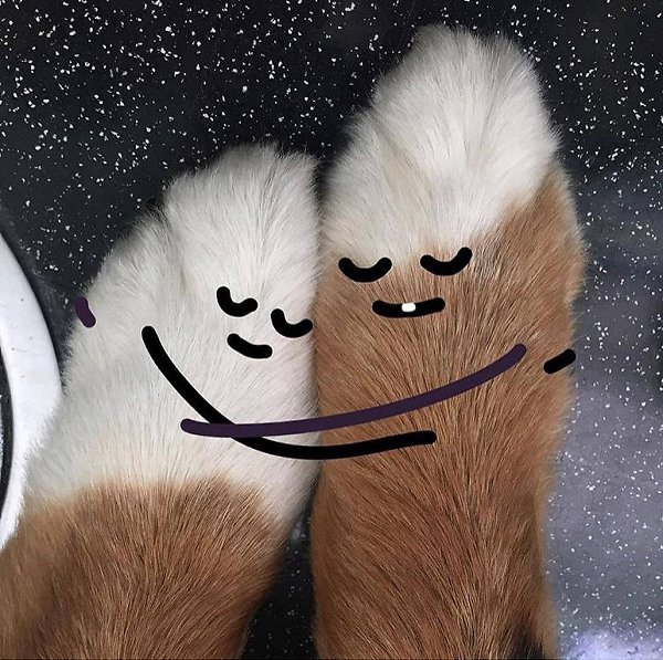     )) .... - 4