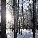���� �������, �����, 59 ��� - ��������� 20 ������� 2023 � ������ ���� ����������